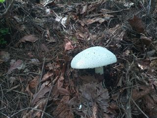 김경수님의 기타작물 · 자유게시판 작성글 사진