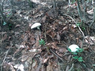 김경수님의 기타작물 · 자유게시판 작성글 사진