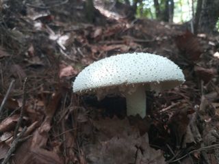 김경수님의 기타작물 · 자유게시판 작성글 사진