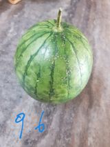 팜모닝 9월 내 작물 자랑하기·참여글 게시글 이미지