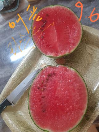 코알라님의 9월 내 작물 자랑하기 · 참여글 작성글 사진