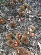 팜모닝 9월 내 작물 자랑하기·참여글 게시글 이미지