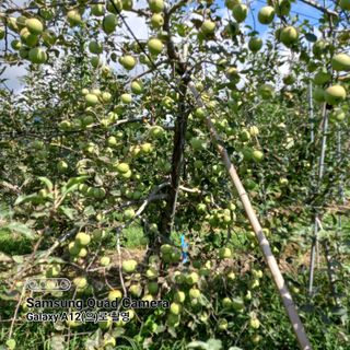 최동구님의 9월 내 작물 자랑하기 · 참여글 작성글 사진