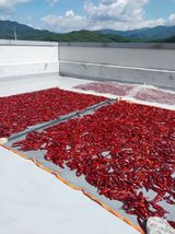 팜모닝 자유주제·자유게시판 게시글 이미지