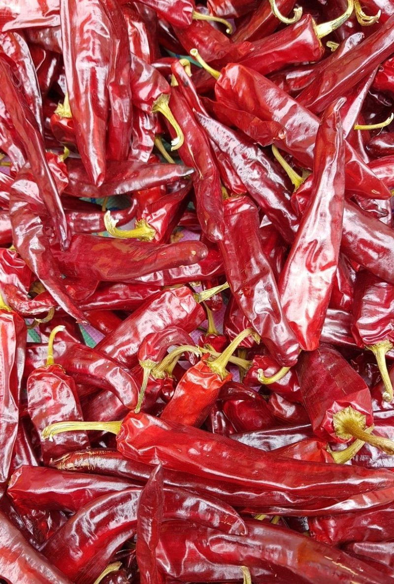 장금이1님의 장터 판매 상품 [태양초고춧가루 보통매운맛 16.000  5근80.000] 첨부 사진