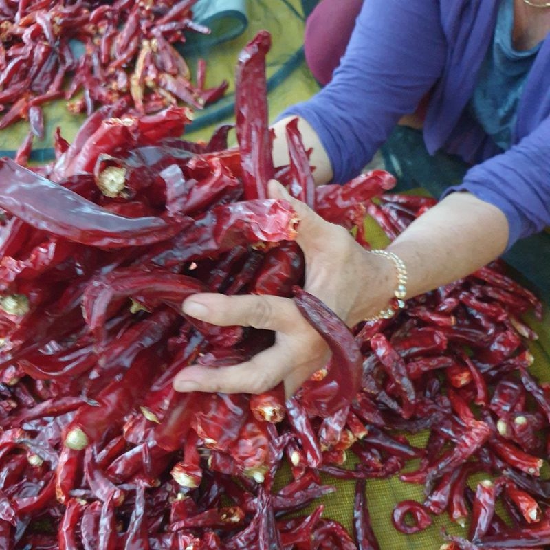장금이1님의 장터 판매 상품 [태양초고춧가루 보통매운맛 16.000  5근80.000] 첨부 사진