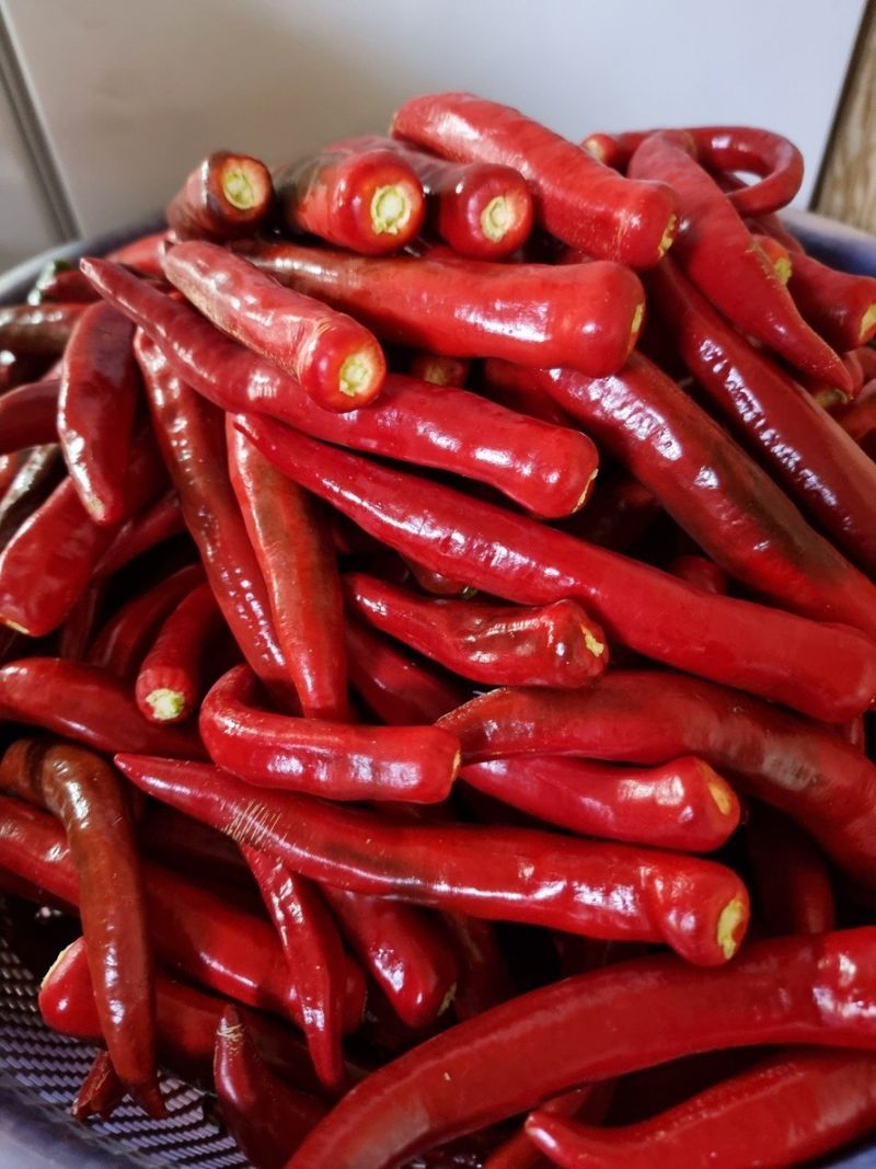 장금이1님의 장터 판매 상품 [태양초고춧가루 보통매운맛 16.000  5근80.000] 첨부 사진