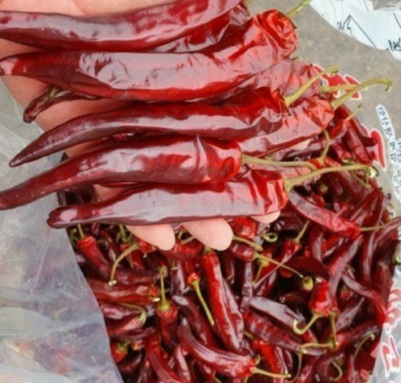 장금이1님의 장터 판매 상품 [태양초고춧가루 보통매운맛 16.000  5근80.000] 첨부 사진