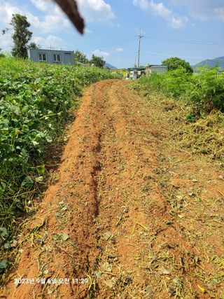 자연인님의 9월 내 작물 자랑하기 · 참여글 작성글 사진