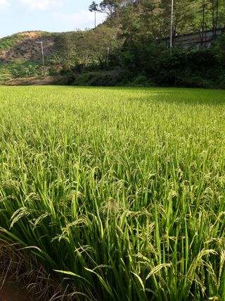 조동원님의 자유주제 · 자유게시판 작성글 사진