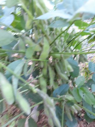 조동원님의 자유주제 · 자유게시판 작성글 사진