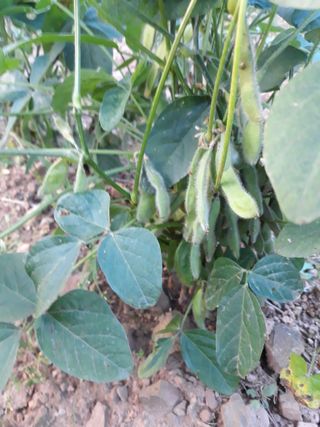 조동원님의 자유주제 · 자유게시판 작성글 사진