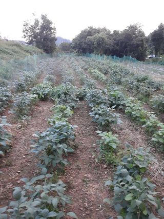 조동원님의 자유주제 · 자유게시판 작성글 사진