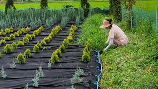지우랜드님의 배 · 일상 작성글 사진
