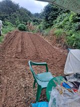 팜모닝 9월 내 작물 자랑하기·참여글 게시글 이미지