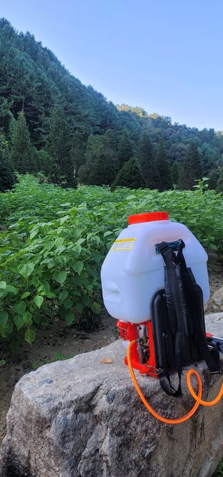 윤태희님의 들깨 · 영농일지 작성글 사진