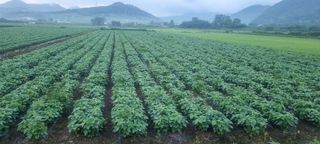 정은서님의 포도 · 자유게시판 작성글 사진