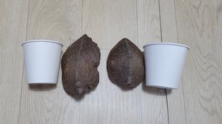 김영진(전남영광)님의 작성글 사진