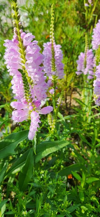 박희영님의 자유주제 · 사진전 작성글 사진