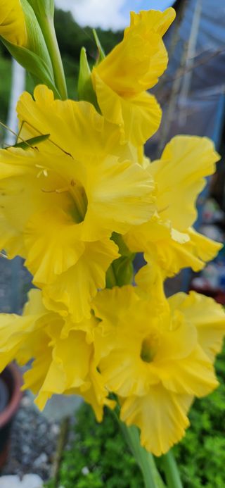 박희영님의 자유주제 · 사진전 작성글 사진