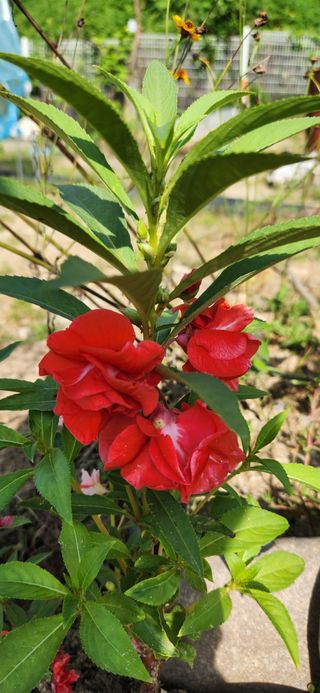 박희영님의 자유주제 · 사진전 작성글 사진