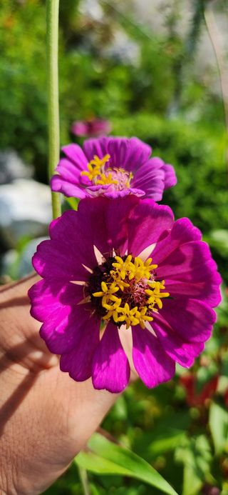 박희영님의 자유주제 · 사진전 작성글 사진