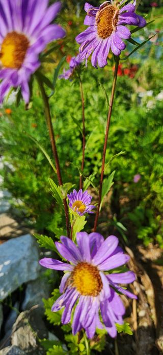 박희영님의 자유주제 · 사진전 작성글 사진