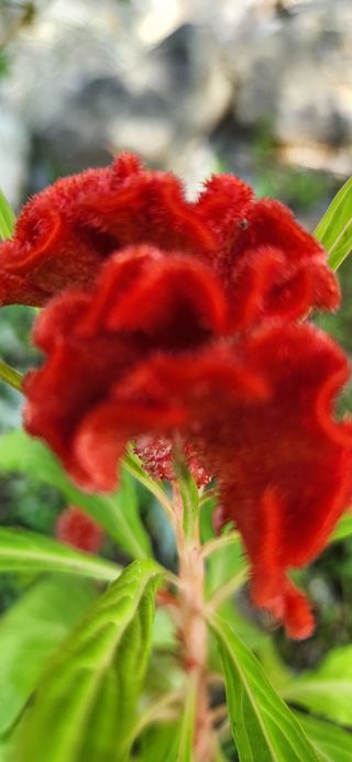 박희영님의 자유주제 · 사진전 작성글 사진