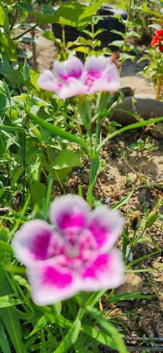 박희영님의 자유주제 · 사진전 작성글 사진