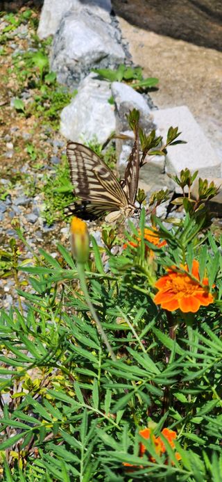 박희영님의 자유주제 · 사진전 작성글 사진