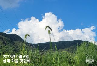 조용길님의 자유주제 · 자유게시판 작성글 사진