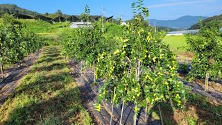 성심농원님의 기타작물 · 자유게시판 작성글 사진