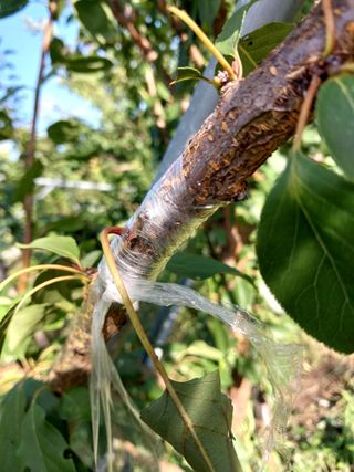 장준호님의 자유주제 · 자유게시판 작성글 사진