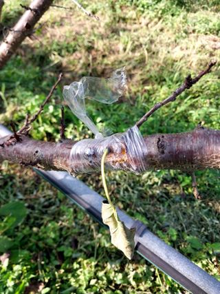 장준호님의 자유주제 · 자유게시판 작성글 사진