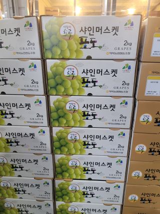 이원규님의 9월 내 작물 자랑하기 · 참여글 작성글 사진