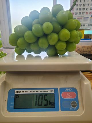 이원규님의 9월 내 작물 자랑하기 · 참여글 작성글 사진