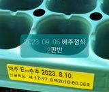 팜모닝 9월 내 작물 자랑하기·참여글 게시글 이미지