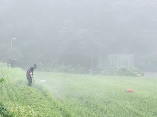 조용길님의 우리동네 · 동네자랑 작성글 사진