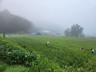 조용길님의 우리동네 · 동네자랑 작성글 사진