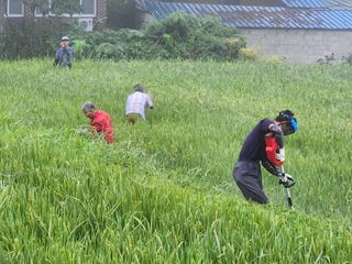 조용길님의 우리동네 · 동네자랑 작성글 사진