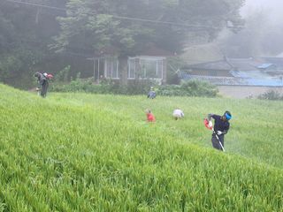 조용길님의 우리동네 · 동네자랑 작성글 사진