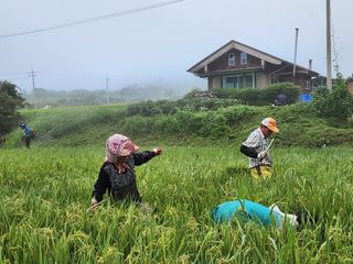 조용길님의 우리동네 · 동네자랑 작성글 사진