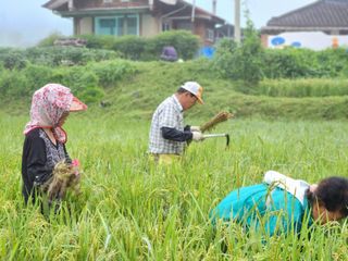 조용길님의 우리동네 · 동네자랑 작성글 사진