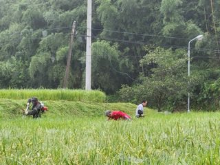 조용길님의 우리동네 · 동네자랑 작성글 사진