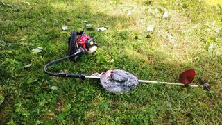 이복길님의 벼 · 영농일지 작성글 사진