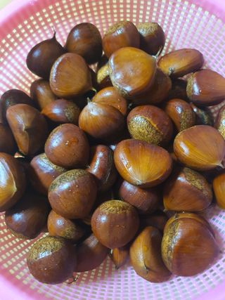 신재경님의 9월 내 작물 자랑하기 · 참여글 작성글 사진