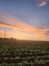 팜모닝 9월 내 작물 자랑하기·참여글 게시글 이미지