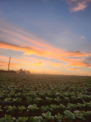 무안최향숙님의 9월 내 작물 자랑하기 · 참여글 작성글 사진