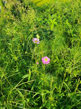 목화공원현정골님의 자유주제 · 자유게시판 작성글 사진