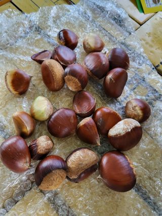 목화공원현정골님의 자유주제 · 자유게시판 작성글 사진